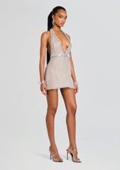 Courtnee Embellished Dress