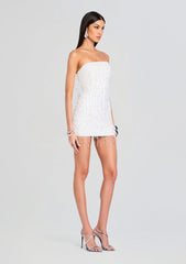 Heather Sequin Star Fringe Dress